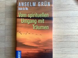 Vom spirituellen Umgang mit Träumen. Ansel Grün