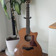 Profile image of sonyyl