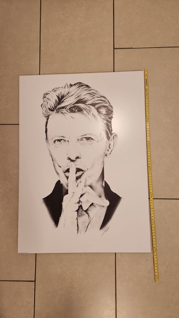 Poster & Bilder: David Bowie Aluminium Bild – Gebraucht aus Schaan von car_wrv2 4