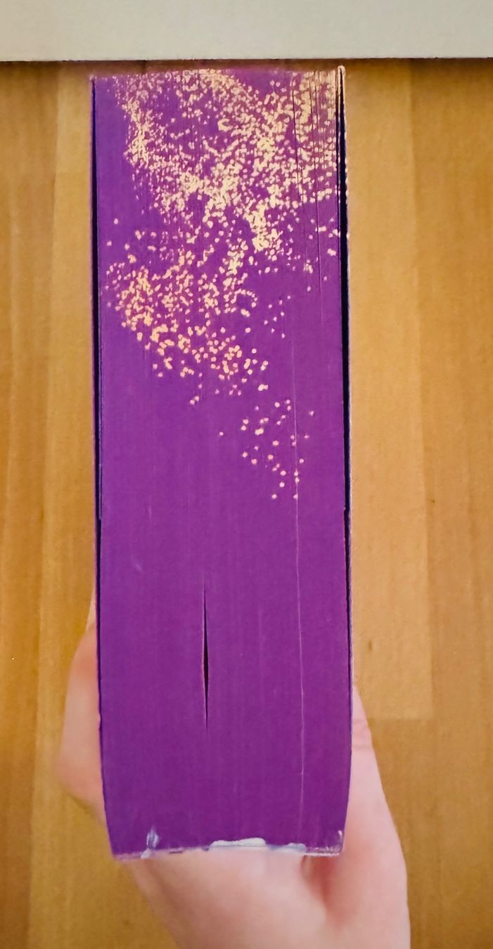 Bücher: Infinity falling- Sarah Sprinz – Gebraucht aus Bettwil von bellis_perennis_222 3
