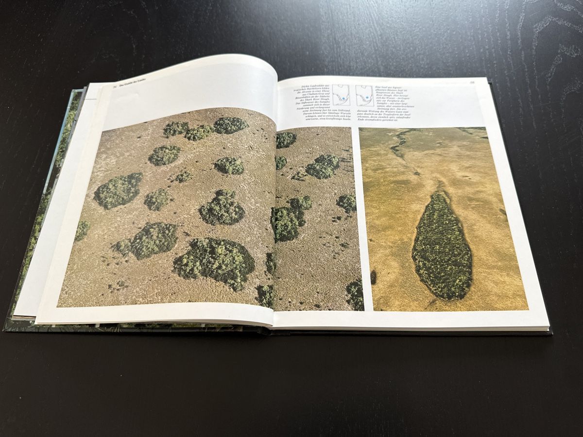 Bücher: Die Everglades von Florida – Gebraucht aus Erstfeld von Uhu1980 3