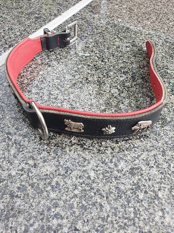 Guinzagli & Collari: Hunde echt Leder Halsband – Usato da Rickenbach LU venduto da trucker.s 1