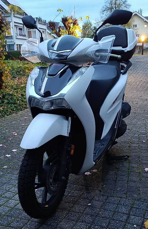 Honda Scooters: Roller Honda SH 125 + – Gebraucht aus Roggwil TG von Philippe1992 1