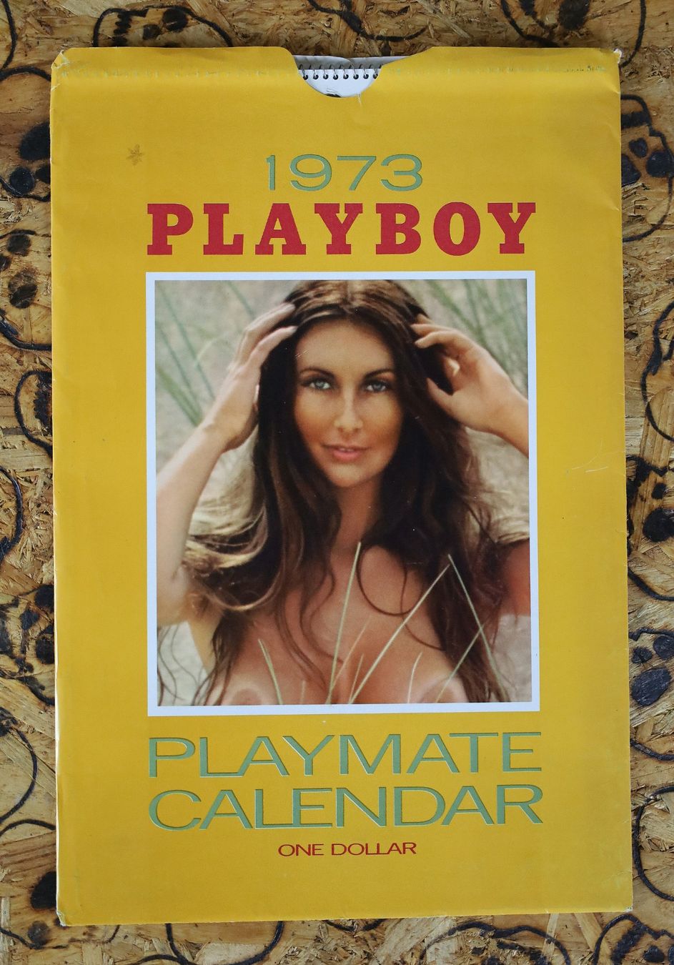 Playboy Calendari: PLAYBOY Kalender 1973 – Usato da Birrwil venduto da brandschatz_birrwil