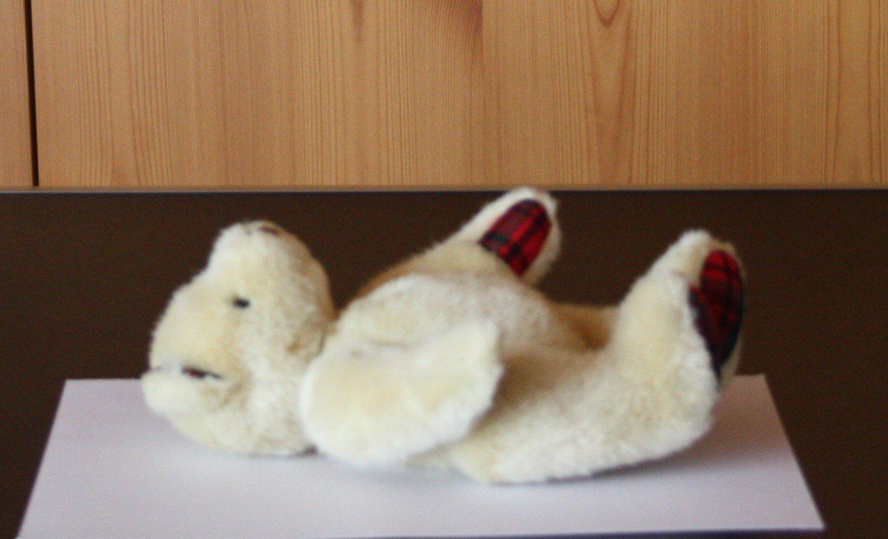 Giocattoli: Teddybär Bär  Gliedmassen beweglich – Usato da Flüelen venduto da Diversicum-Shop 7