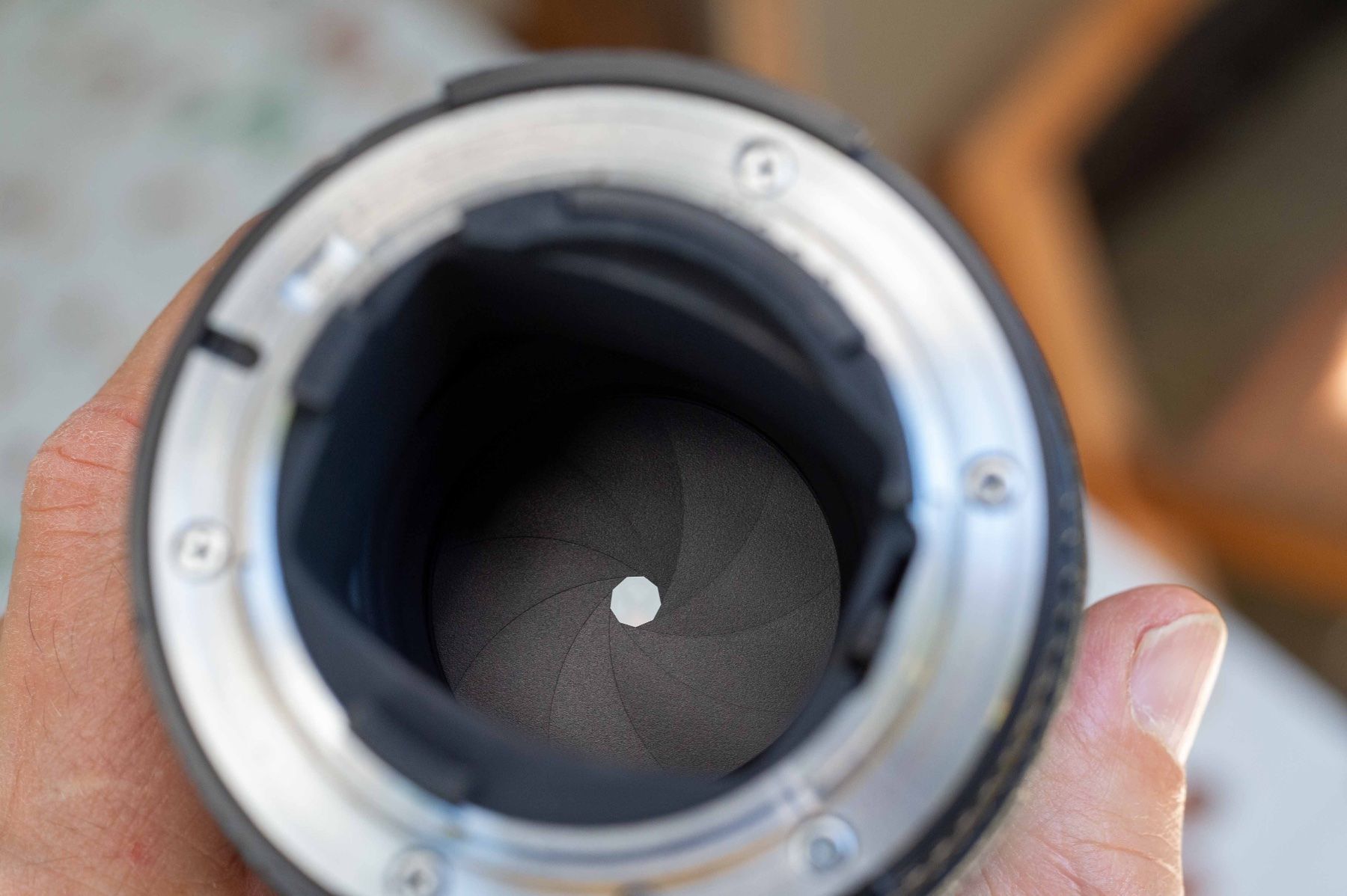 Nikkor Obiettivi: Nikon AF-Nikkor 180mm f2.8 – Usato da Schwerzenbach venduto da floridan 6