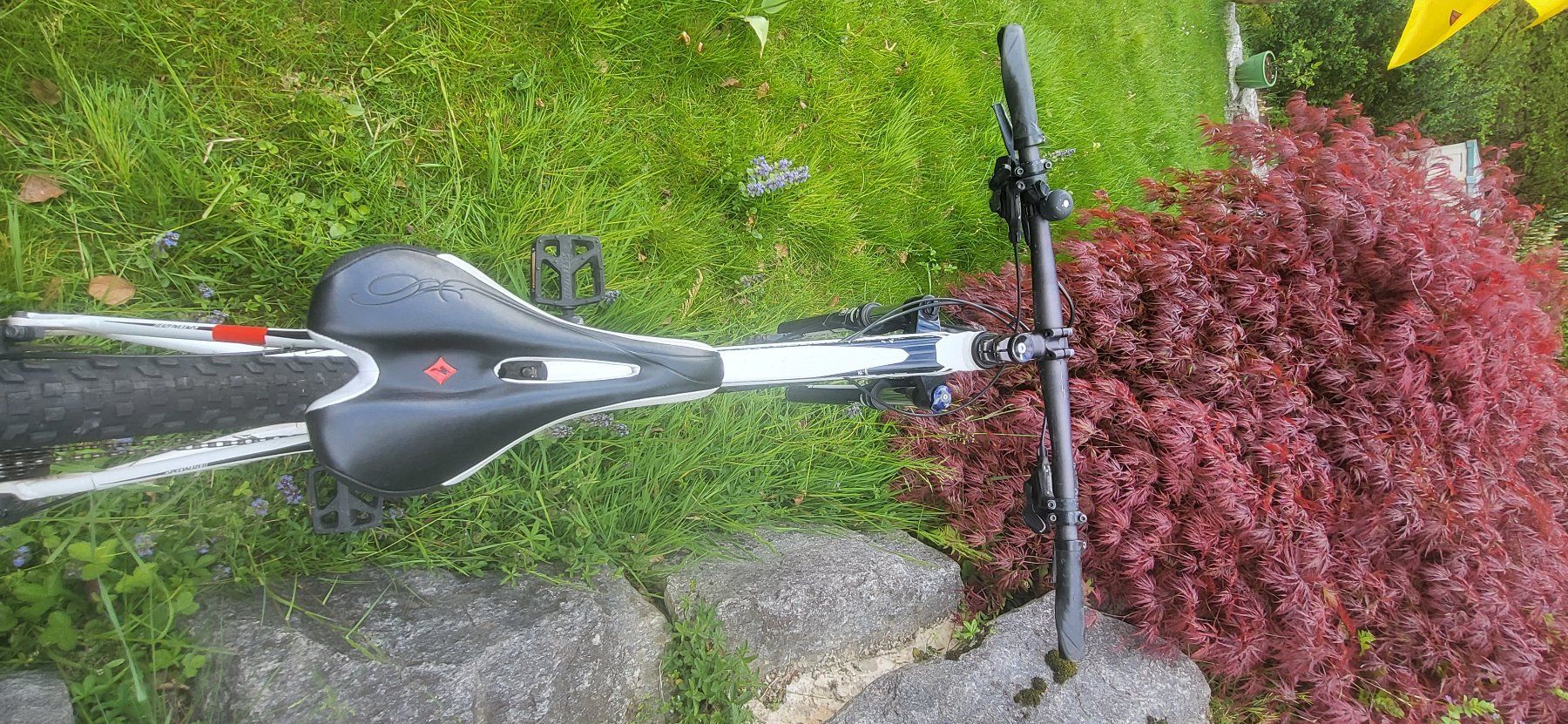 Specialized Velos: Specialized Rockhopper – Gebraucht aus Horw von  2