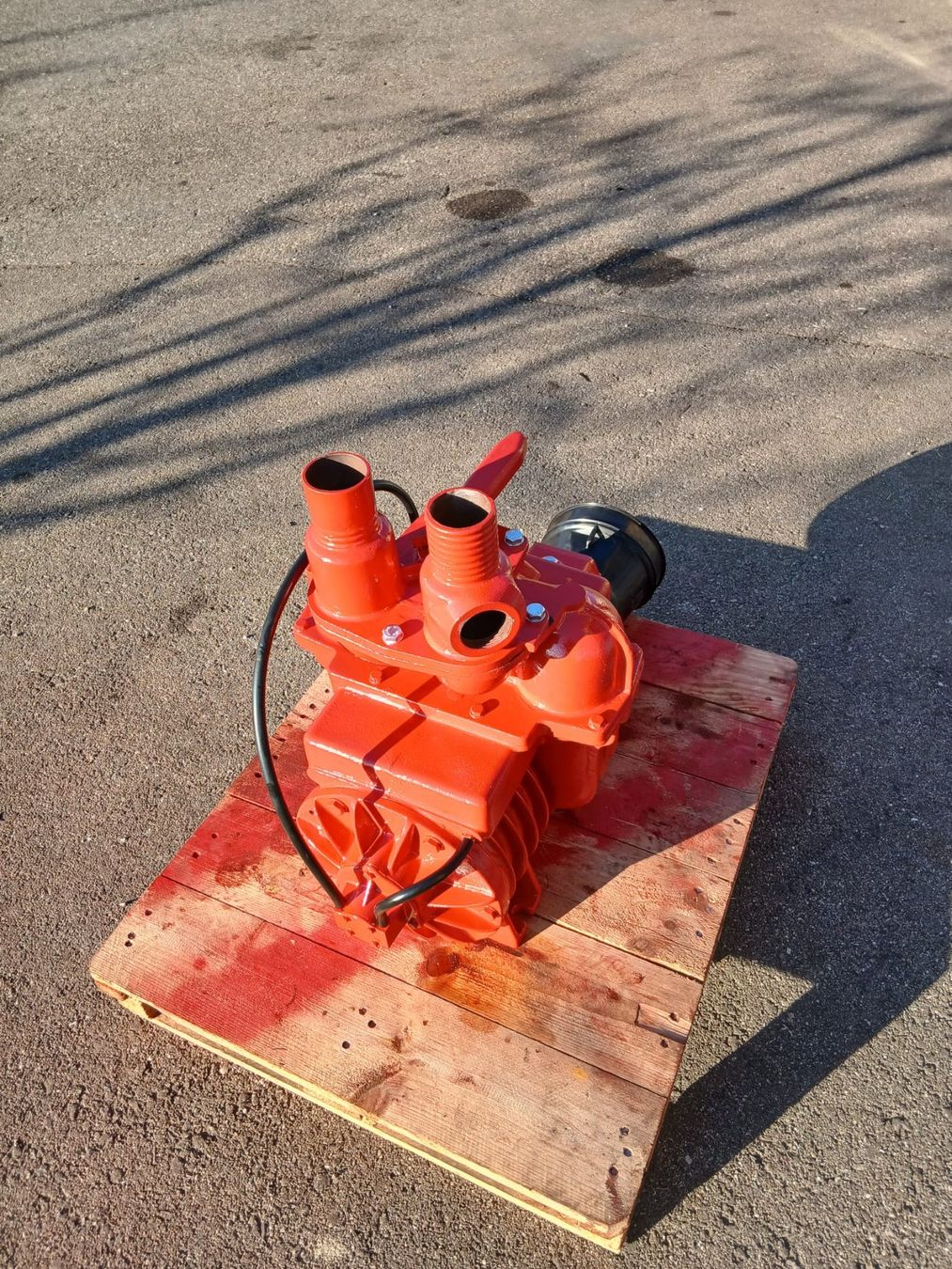 Accessori da laboratorio: Vakumpumpe Battioni – Usato da Untersteckholz venduto da wer_6nbn 2