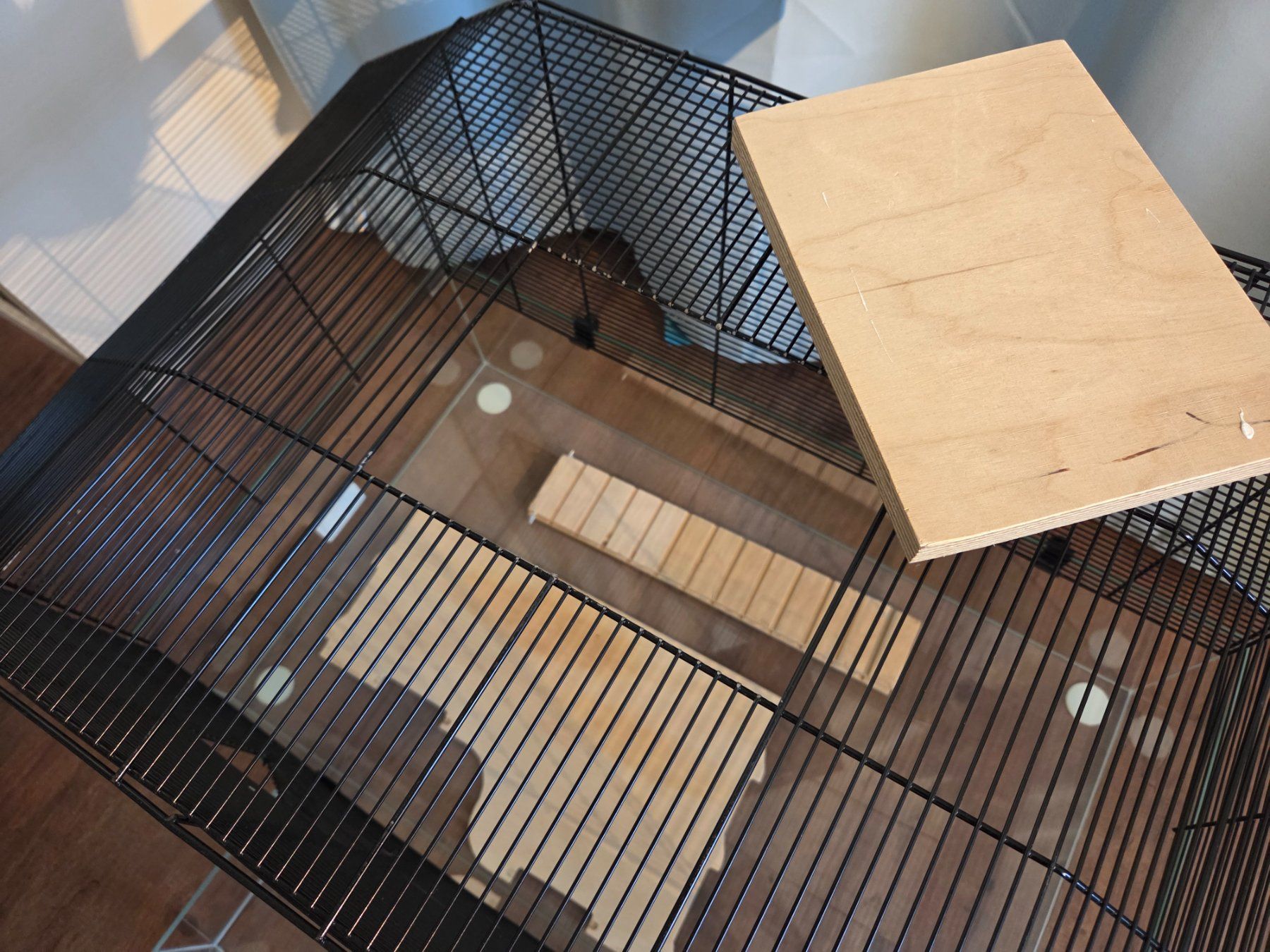 Cages, transport & sécurité: Nagerkäfig – D'occasion à Roggwil BE par Haesli1981 2