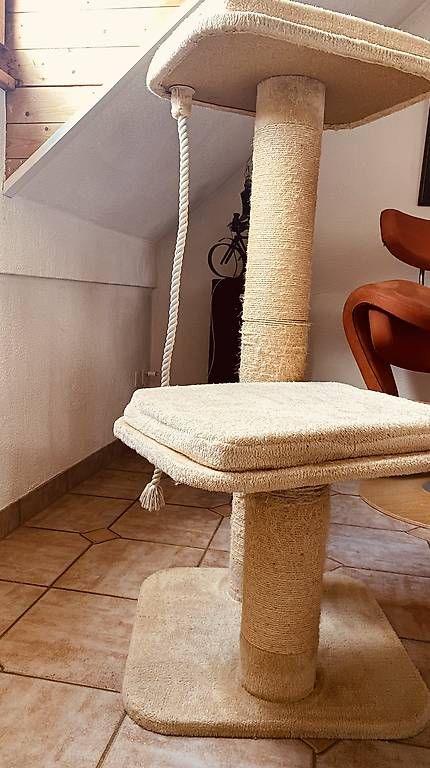 Arbres à chats: Katzenbaum  – D'occasion à Bürglen TG par jap_dcm6