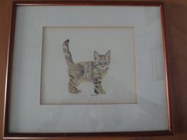Katze - Farbstiftzeichnung
