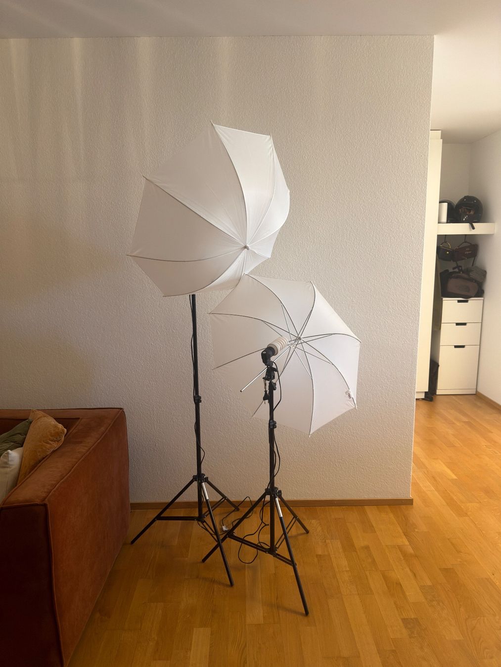 Lampade: 2er Set Fotostudio Licht Studioschirm Lampenstativ Softbox – Usato da Bern venduto da mura_shop