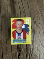 Panini Sticker Haaland 