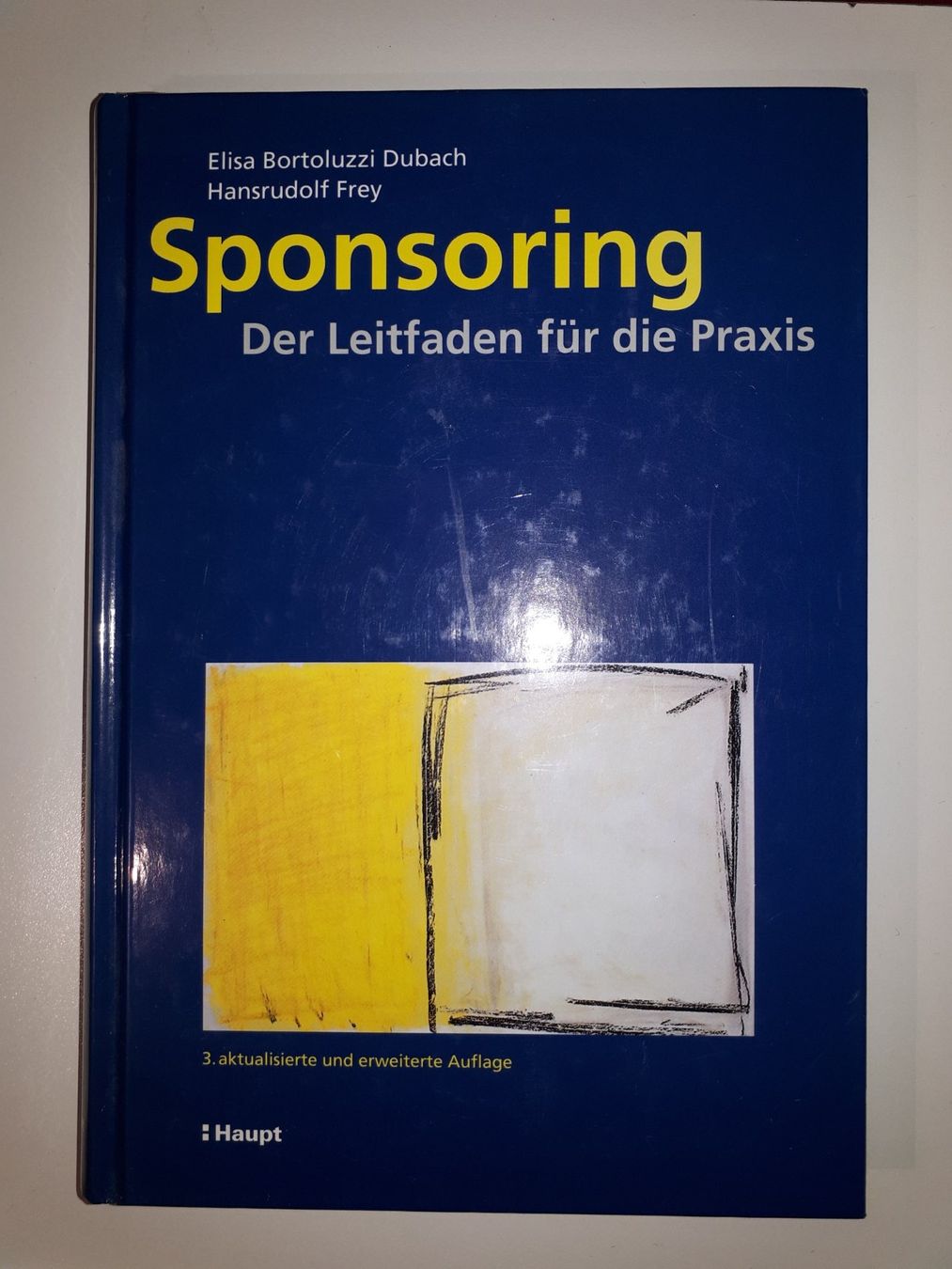 Libri: Sponsoring – Usato da Dietikon venduto da Buchantiqdietikon