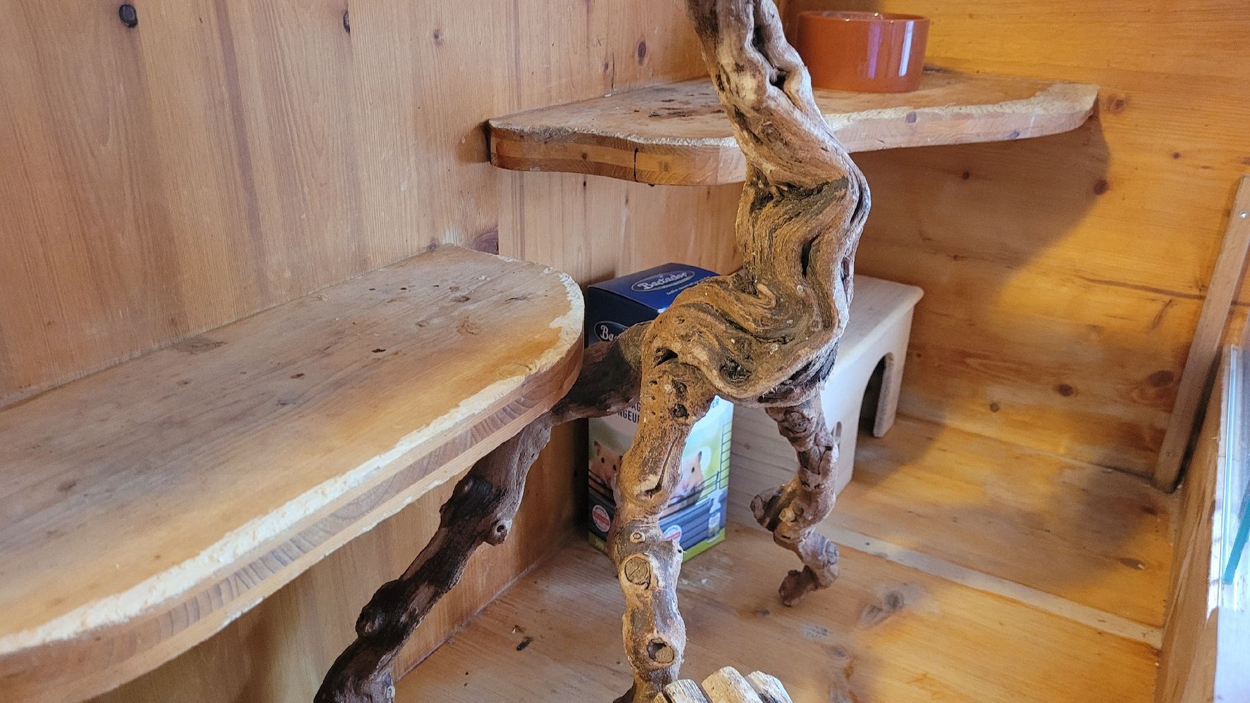 Gabbie, trasporto & Sicurezza: Nagetierkäfig aus Holz – Usato da Jens venduto da Apfelstrudl 6