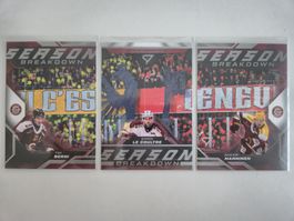 SportZoo Season Breakdown Geneve-Servette komplett