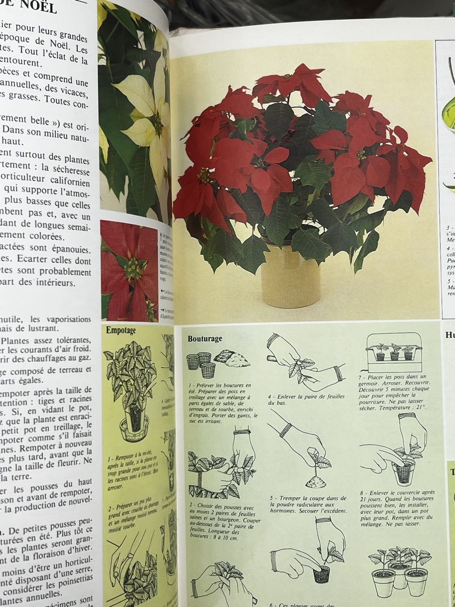 Bücher: Comment soigner vos plantes d interieur – Gebraucht aus Wettingen von NickInc 5