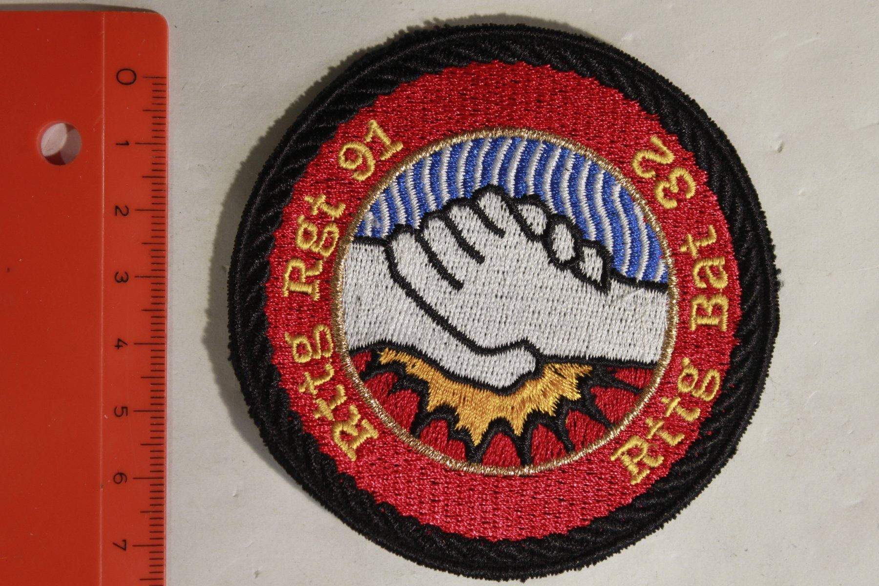 Schweizer Armee Placchette & Badge: RGT 91 – Usato da La plaine venduto da 7A6T2ME