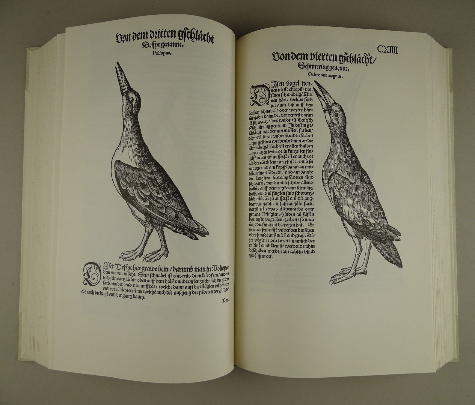 Libri: CONRAD GESSNER: VOGELBUCH, FAKSIMILE – Usato da Grüningen venduto da Kartensammler 5