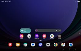 Samsung Galaxy Tab S9 SM-X710 guter Zustand