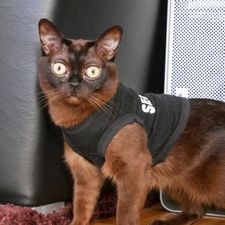 Profile image of fil_6bs7