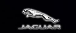 Lumières de projecteur de logo de Jaguar 5