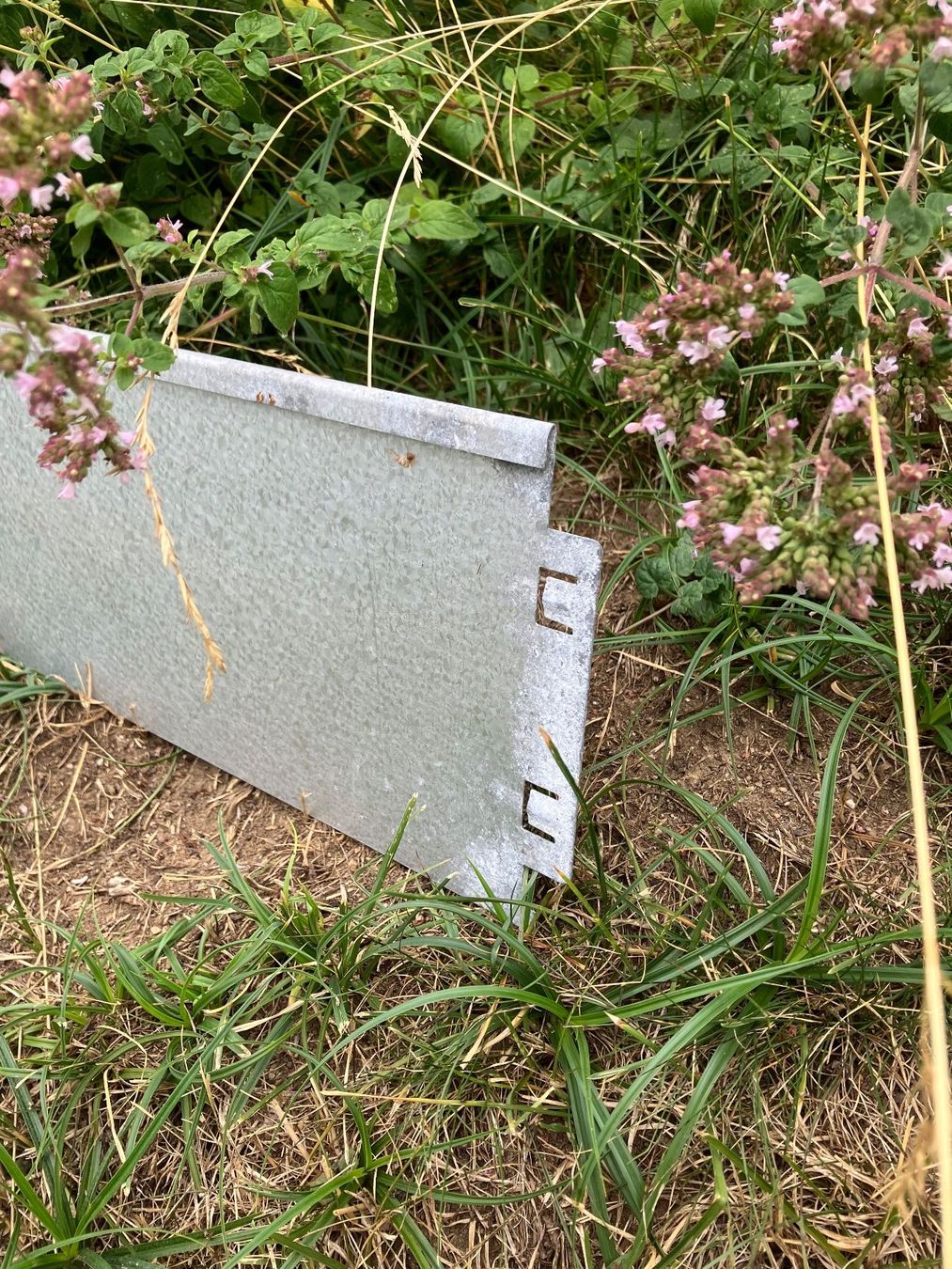 Zäune: Beet- und Rasenkanten 50 Ex. – Neu (gemäss Beschreibung) aus Weisslingen von Jilly03 1
