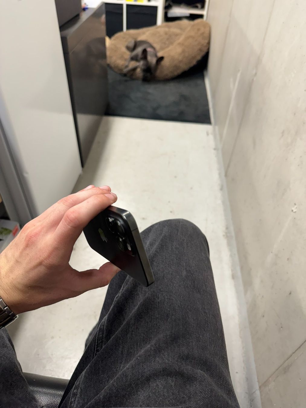 Apple Telefoni cellulari / Smartphones: Iphone 15 Pro Max, Black Titanium, 256GB – Usato da Frick venduto da sandro_martin 5