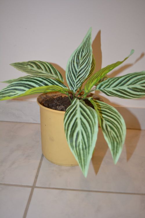 Kunstpflanze Pflanzen Ricardo | Topf + Pflanze auf dekoration künstlich Kaufen