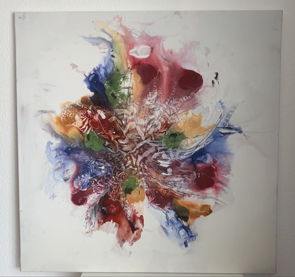 Foto & Immagini: Bild Gallerie Nassler – Usato da Dietlikon venduto da Wave33