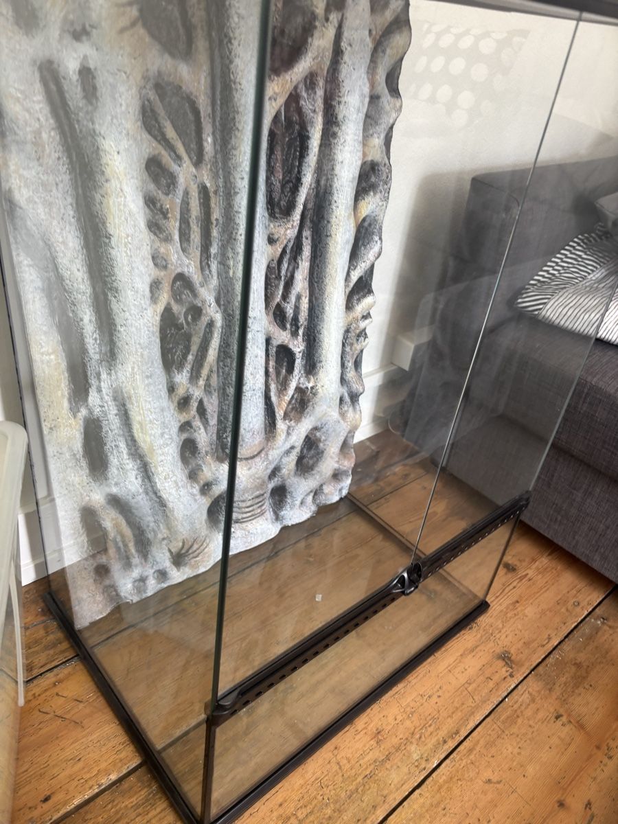 Terrario: Exo-Terra 60x45x90 Terrarium – Nuovo (secondo la descrizione) da Wädenswil venduto da jamiro_keller 1