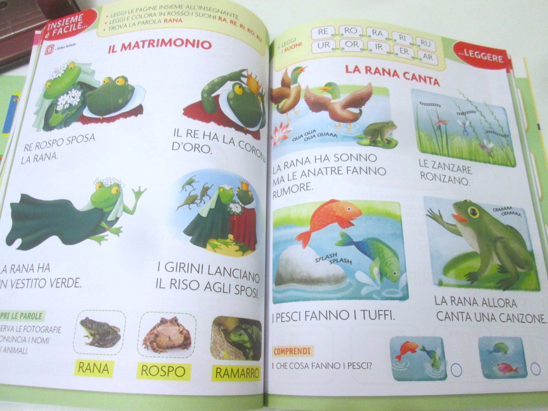 Livres: C'era una volta ... un bruco – D'occasion à Sementina par babucia 2