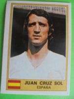 Euro Football 1976 " Juan Cruz Sol, Espana " 88