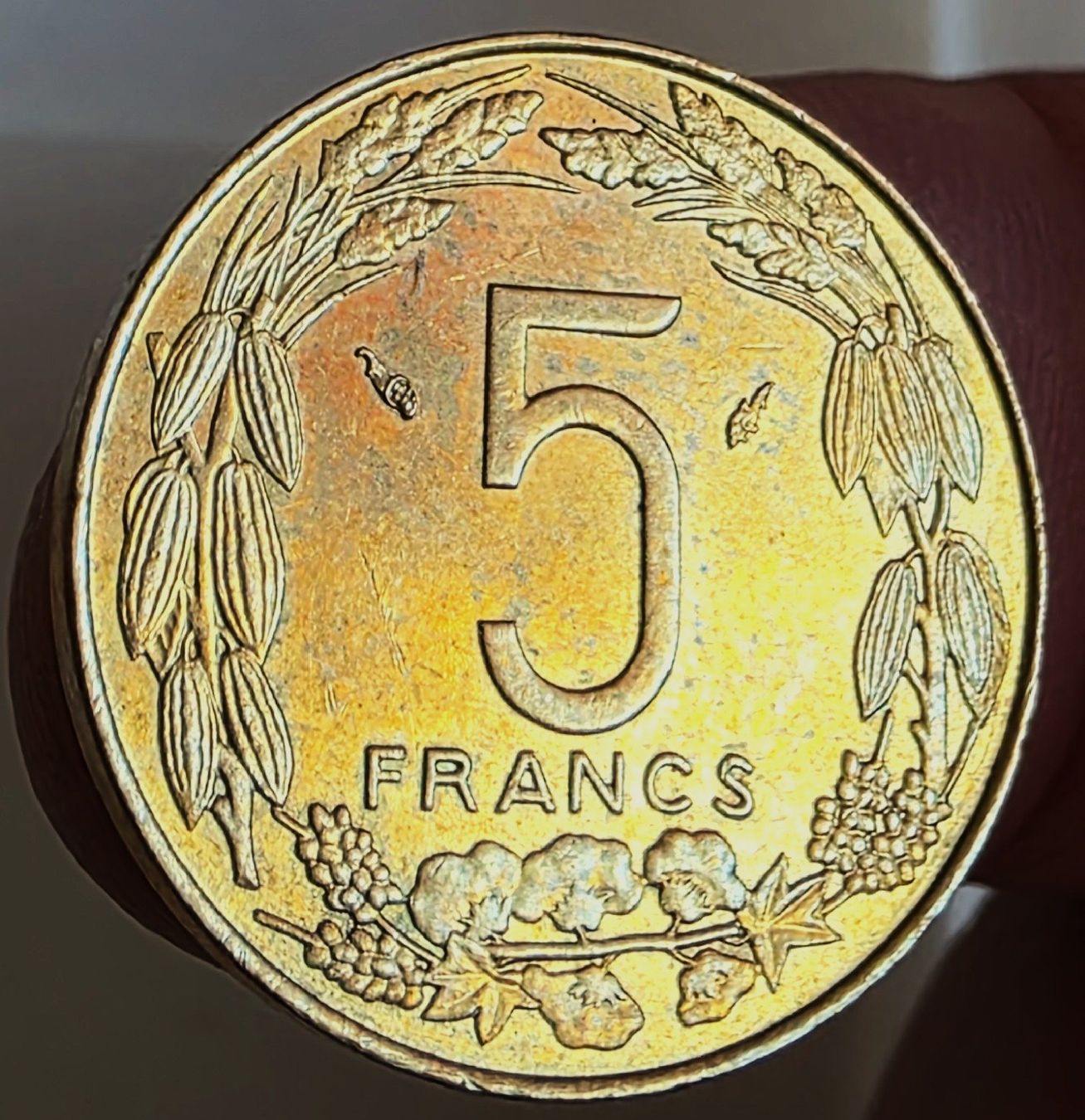 Tutti le monete: CENTRAL AFRICA 5 FRANCS 1977 – Nuovo (secondo la descrizione) da winterthur venduto da CoinPassion 1