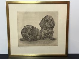 Radierung von  M.Zobeli Dackelwelpen mit Signatur!