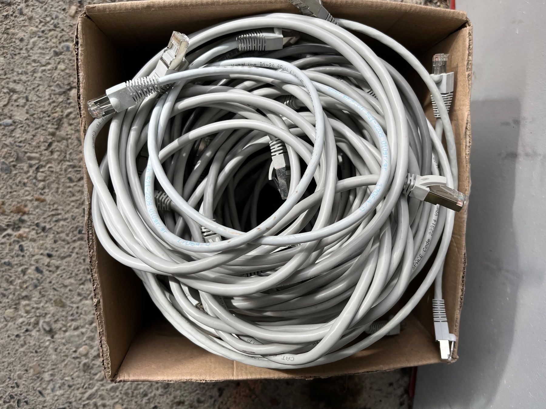 Cavi: 30x Câble Ethernet RJ45 cat. 6a/5e – Usato da Chexbres venduto da Rootsim