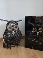 Herzige LED Eule * NEU *