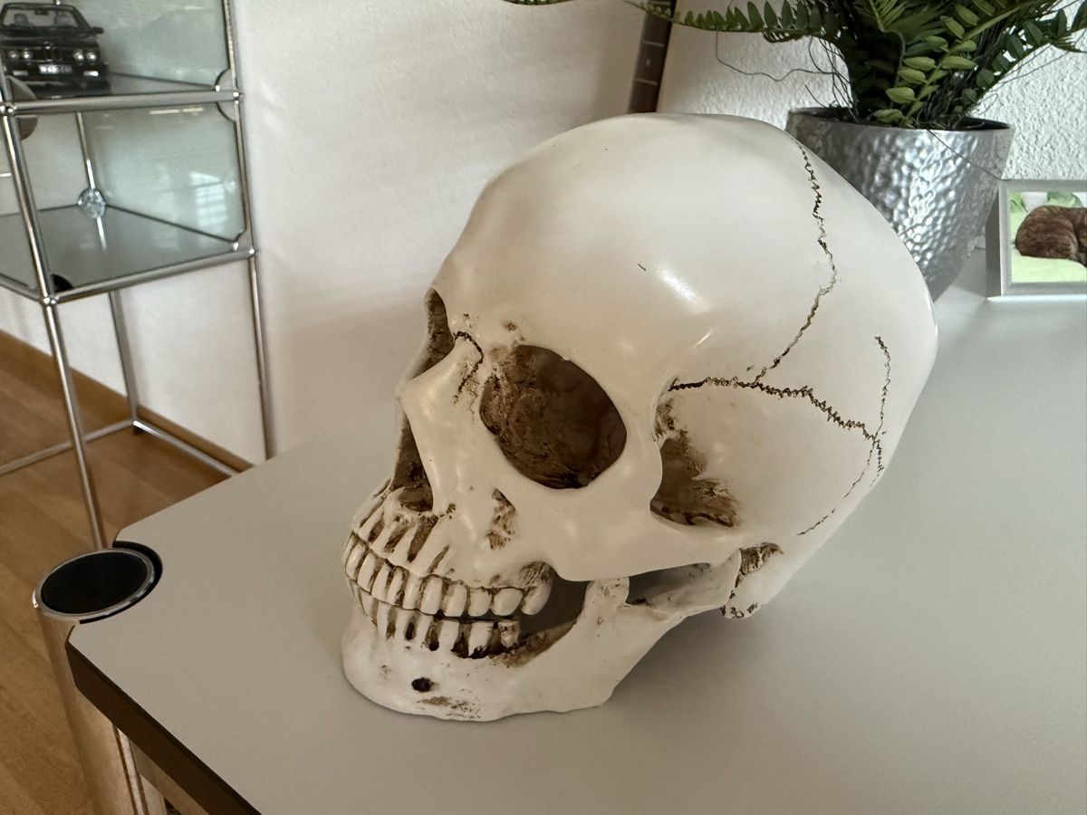 Figurines: Totenkopf / Schädel – Neuf (Voir description) à Watt par Segi75 1