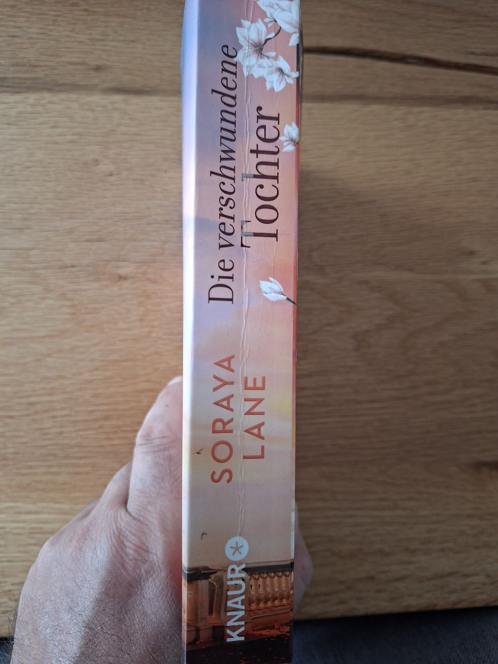 Libri: Die verschwundene Tochter – Usato da Appenzell venduto da palme14 2