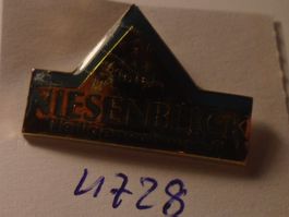 1 Niesenblick  Pin (U728)
