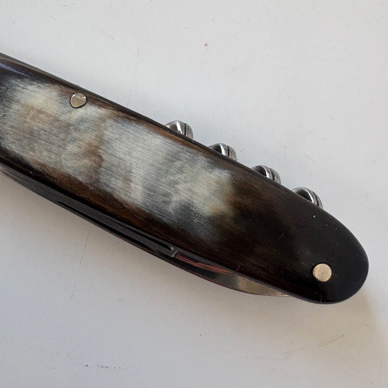 Coltelli tascabile: Sackmesser / Taschenmesser Hornschalen – Usato da Zürich venduto da Malf_007 7