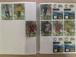 Panini Road to 2014 FIFA World Cup Brazil - Fans Favourite
