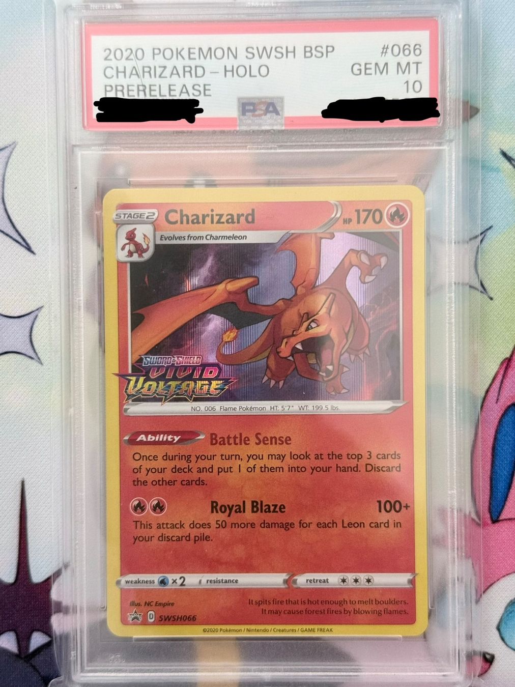Pokémon Carte collezionabili: Charizard SWSH Black Star Promo #066 Prerelease PSA10 – Nuovo (secondo la descrizione) da Grindelwald venduto da DMark