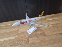 Pegasus Airlines (Boeing 737-800)