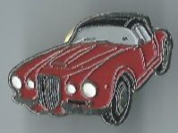 Auto Pin