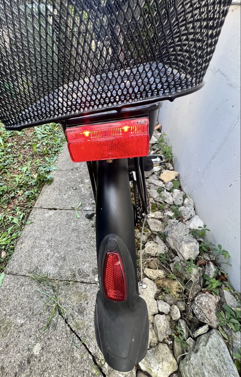 Flyer Velos: Flyer e-bike – Gebraucht aus Rümikon AG von Tati72 8