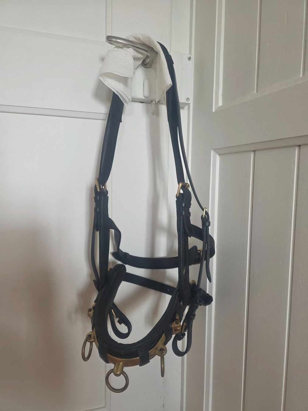 Zaumzeug & Halfter: Kappzaum MONTIVUM Gr. X-Warmblut – Gebraucht aus Enggistein von markaris