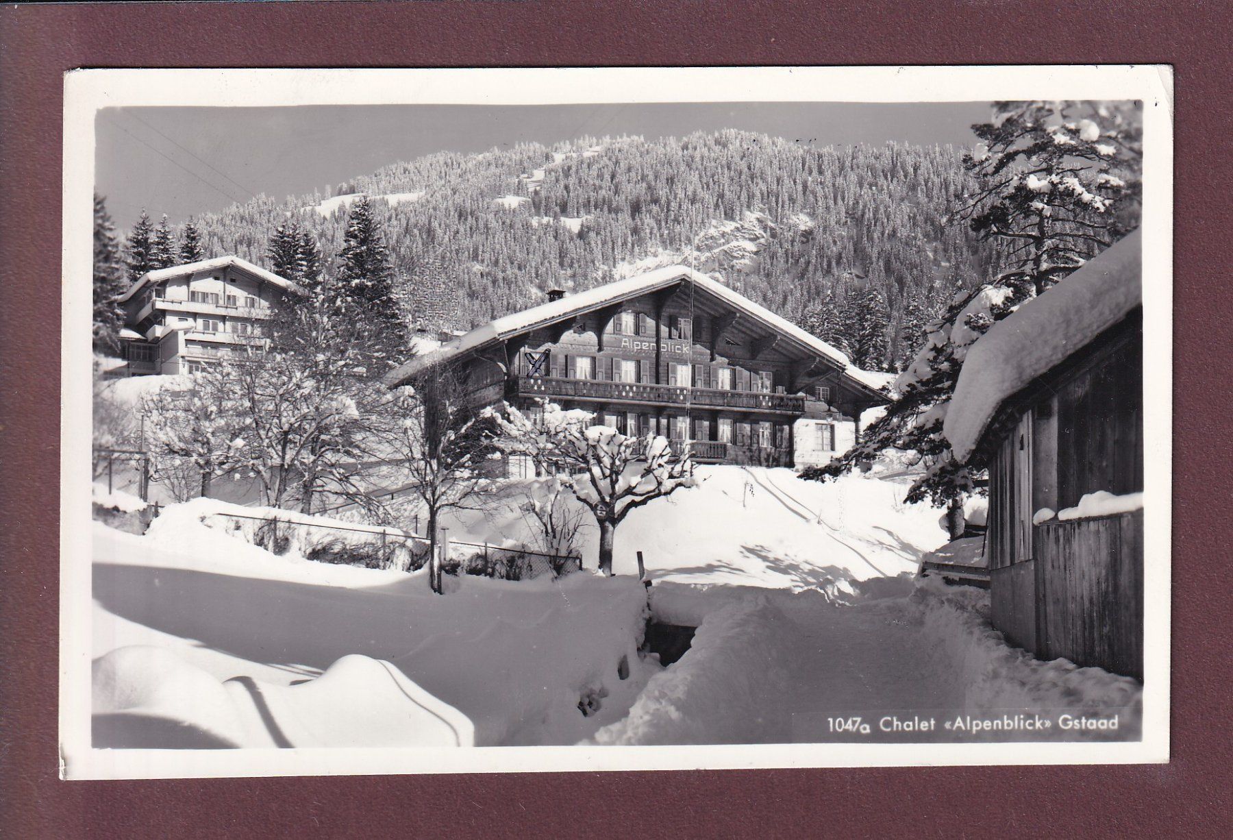 Ansichtskarten: GSTAAD - Chalet Alpenblick - 1967 – Gebraucht aus Pully von nicecards