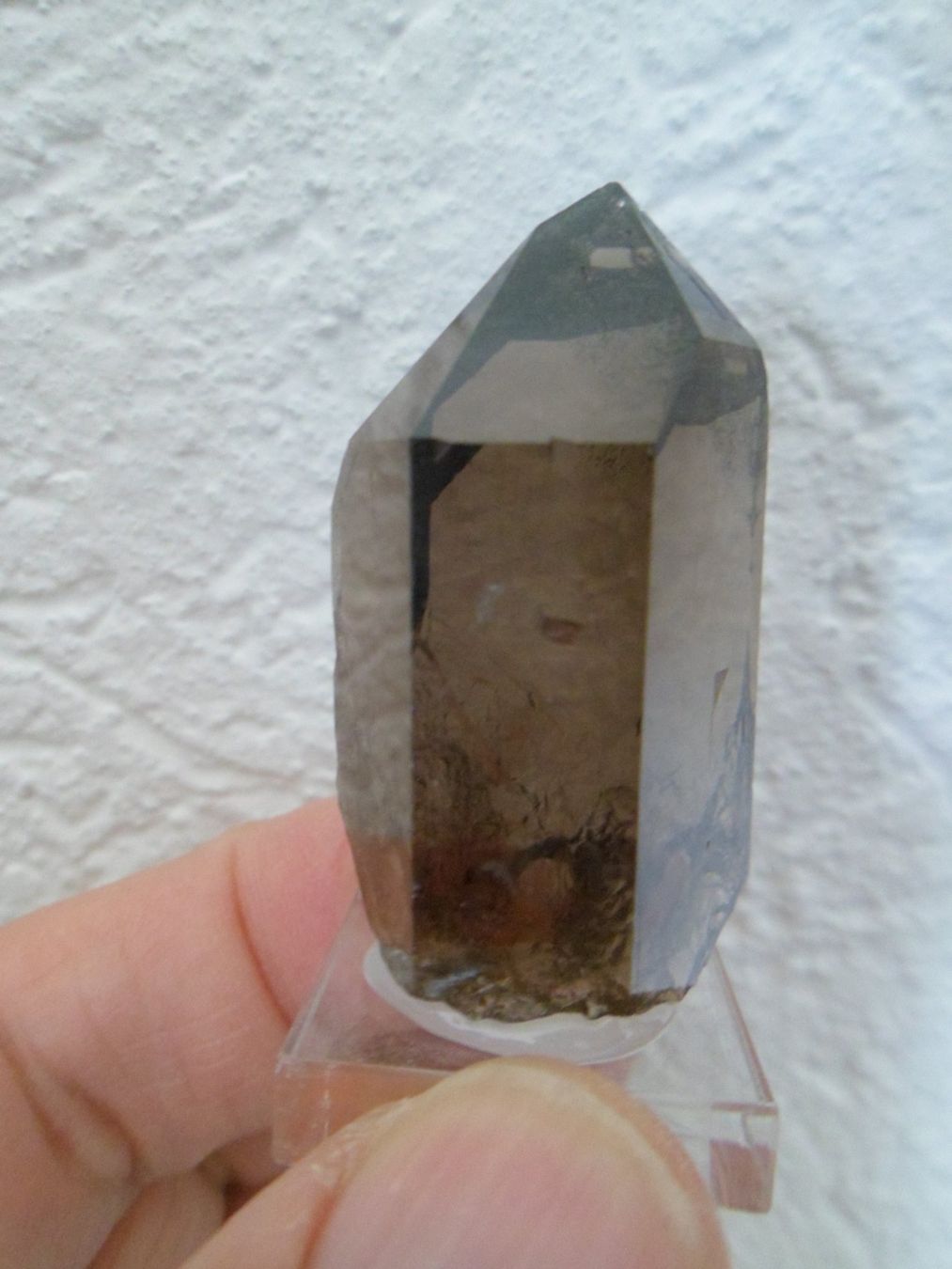 Minerali & Pietre curative: Super Rauchquarz – Usato da Affoltern am Albis venduto da Fossil60 1