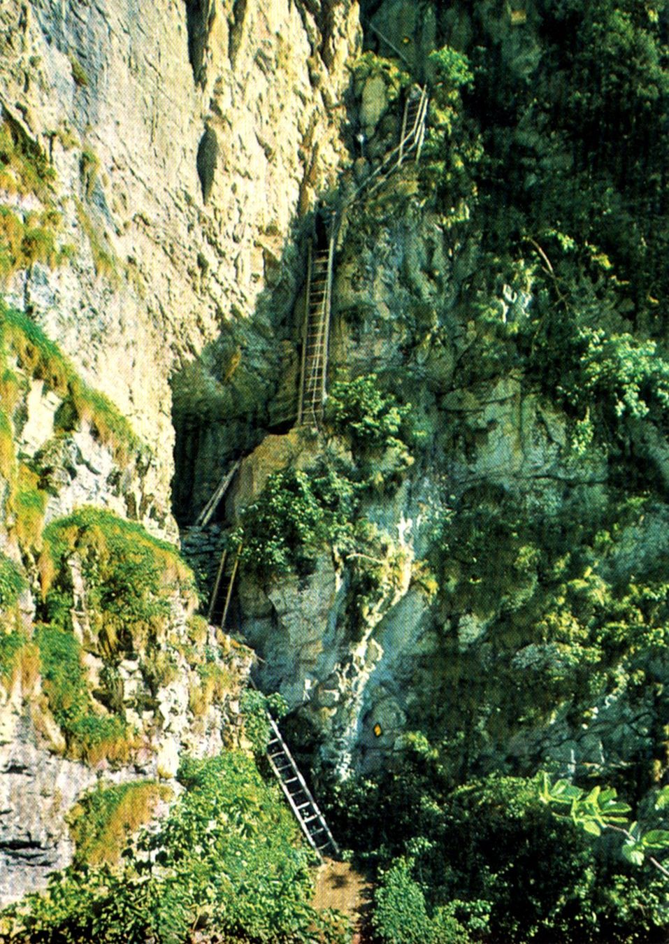 Cartoline postali: Postkarte Leukerbad Albinenleitern – Nuovo (secondo la descrizione) da Rüti ZH venduto da Prostias